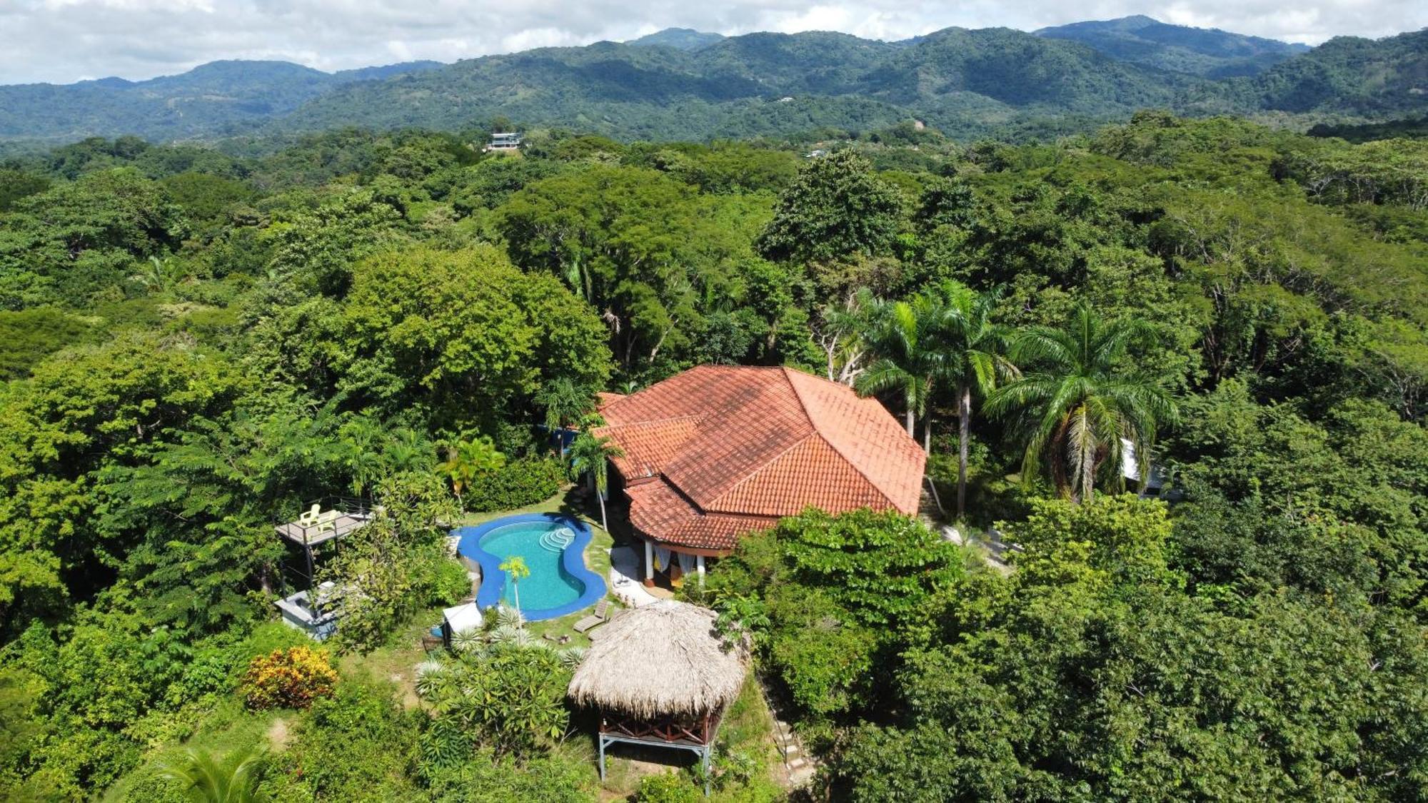 Villa Martina Palmgarden Samara Bagian luar foto