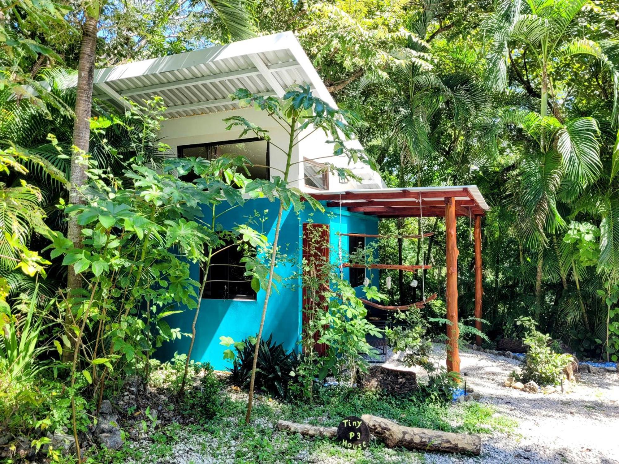 Villa Martina Palmgarden Samara Ruang foto