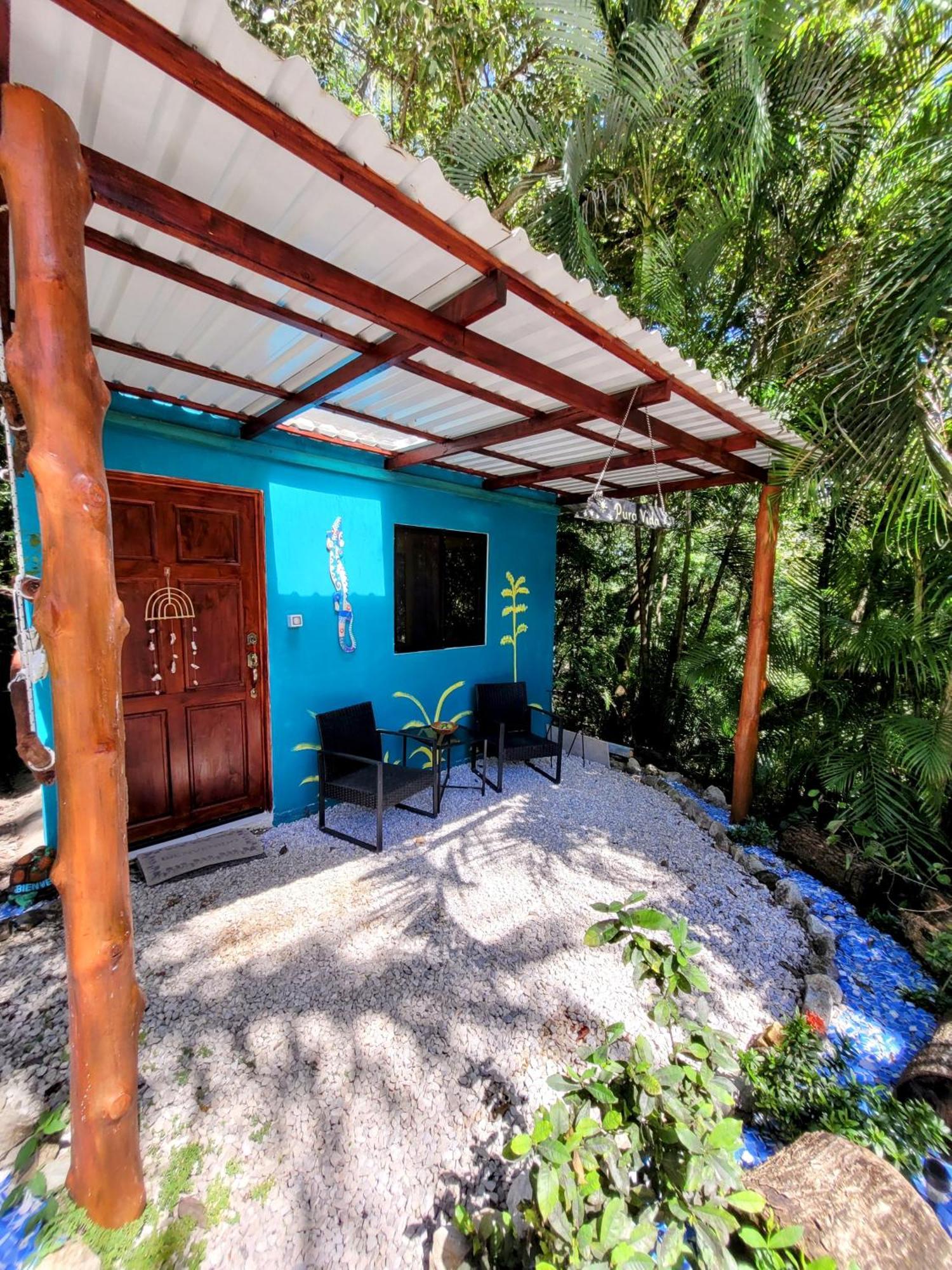 Villa Martina Palmgarden Samara Ruang foto